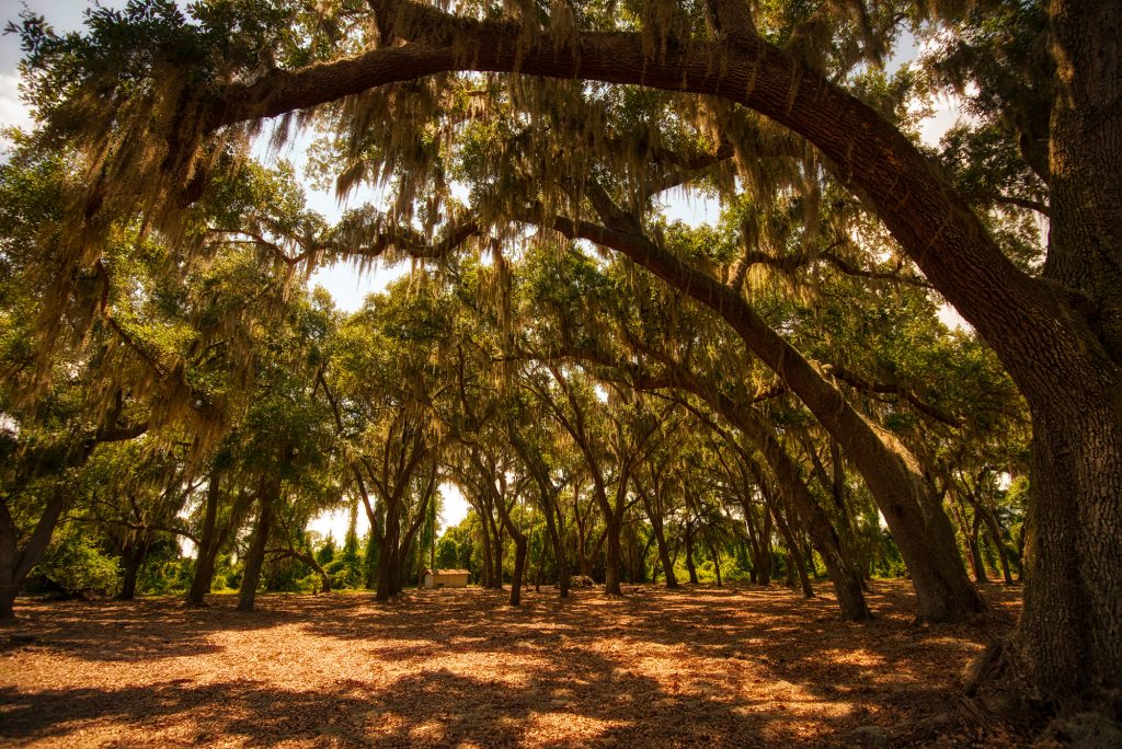 Tucker Recreational Park and Nature Preserve