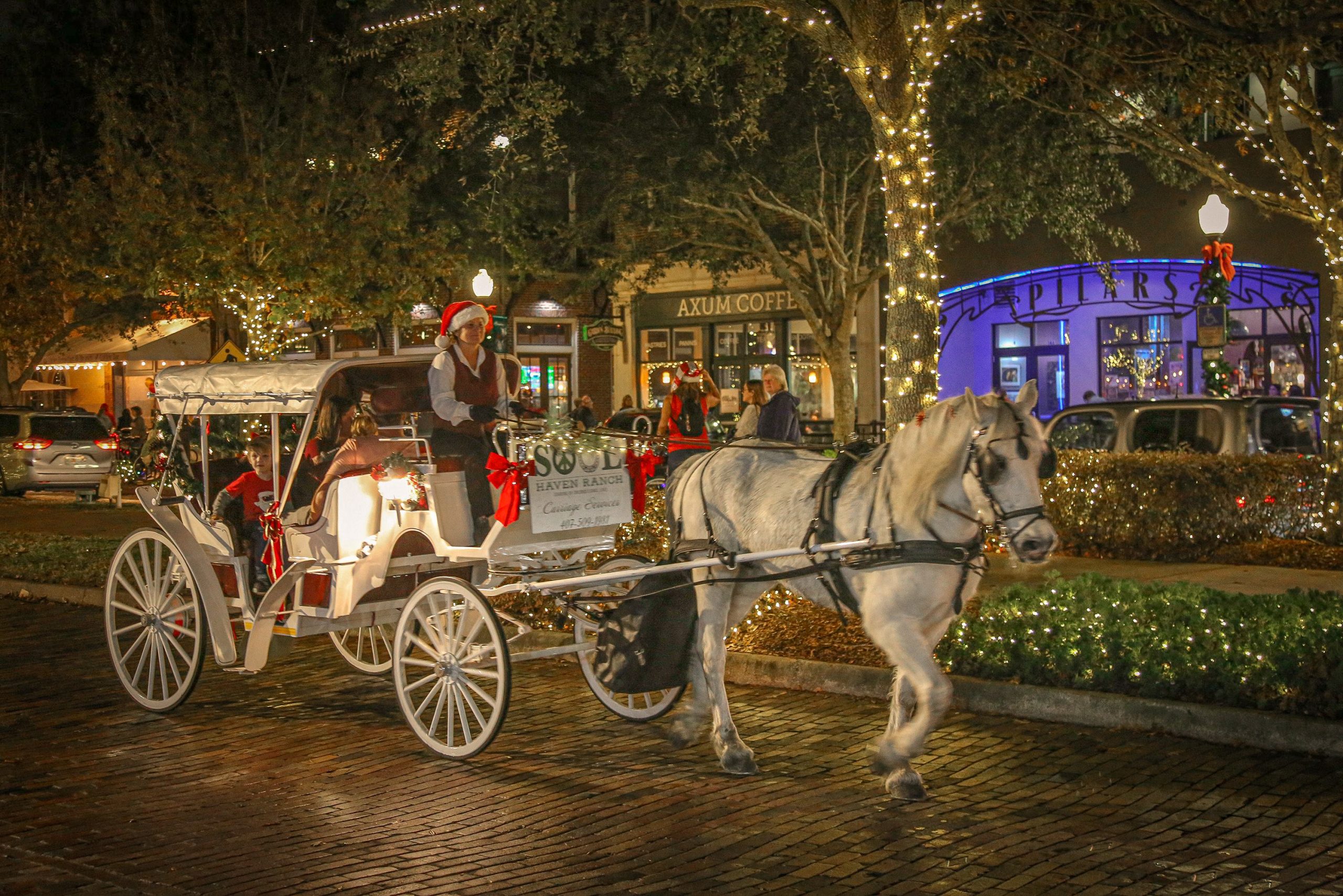 2020 Downtown Winter Garden Holiday Guide - Downtown Winter Garden