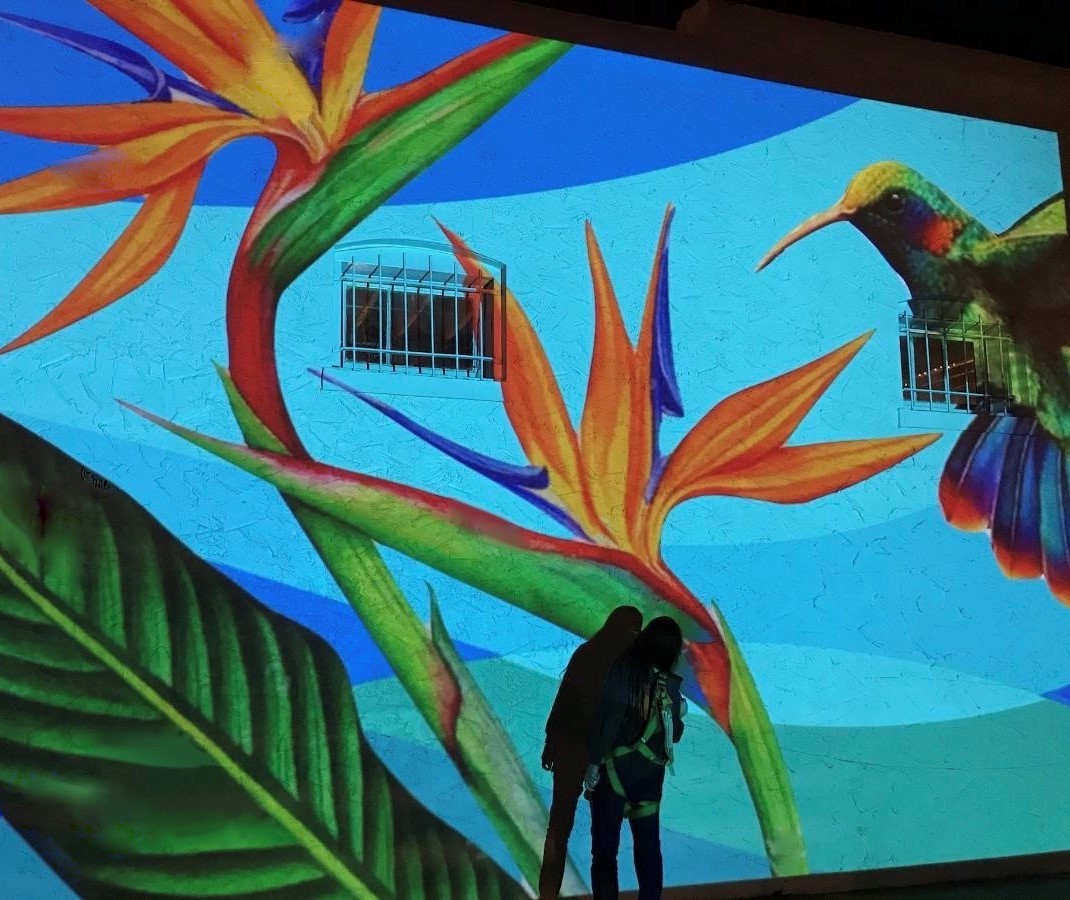 Cecilia Lueza Paints Winter Garden’s Second Mural - Downtown Winter Garden