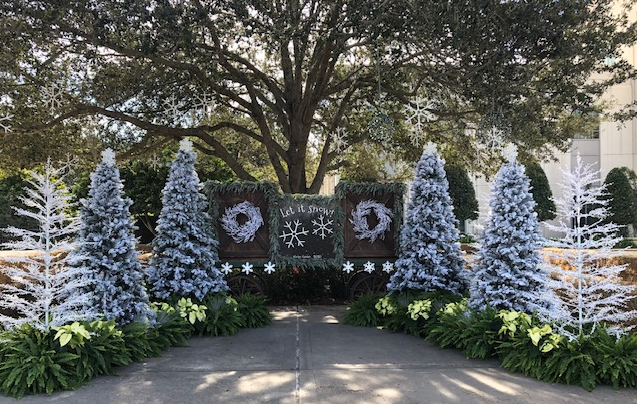 Winter Wonderland at City Hall