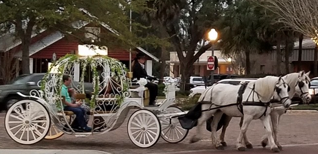 Take a Horse-Drawn Carriage Tour for Valentine's Day in Historic Downtown Winter Garden