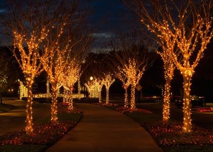 Take a Romantic Stroll for Valentine's Day in Historic Downtown Winter Garden