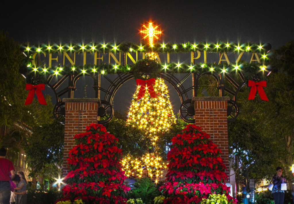 Downtown a Winter Wonderland Downtown Winter Garden