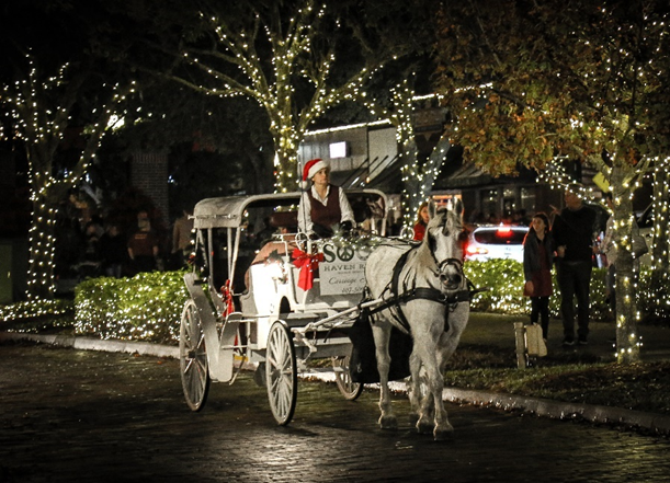 Horse Carriage being led by Horse