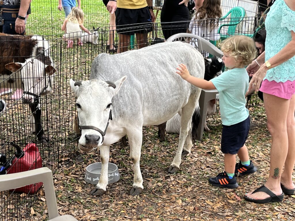 Farm Day at the Farmers Market