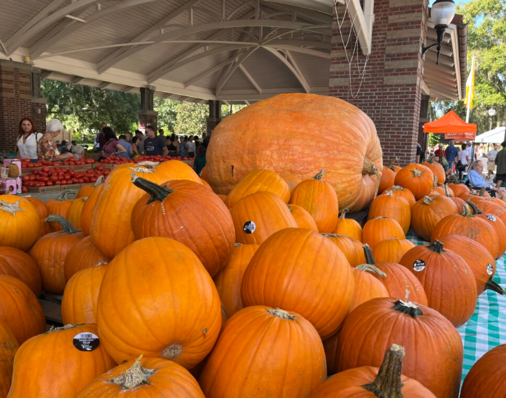 Halloween at the Market