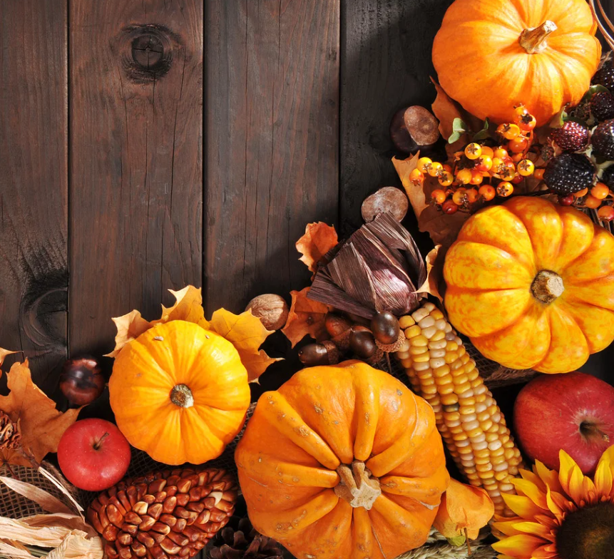 thanksgiving