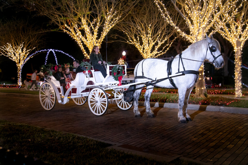 Holiday Carriage Tour through downtown Winter Garden