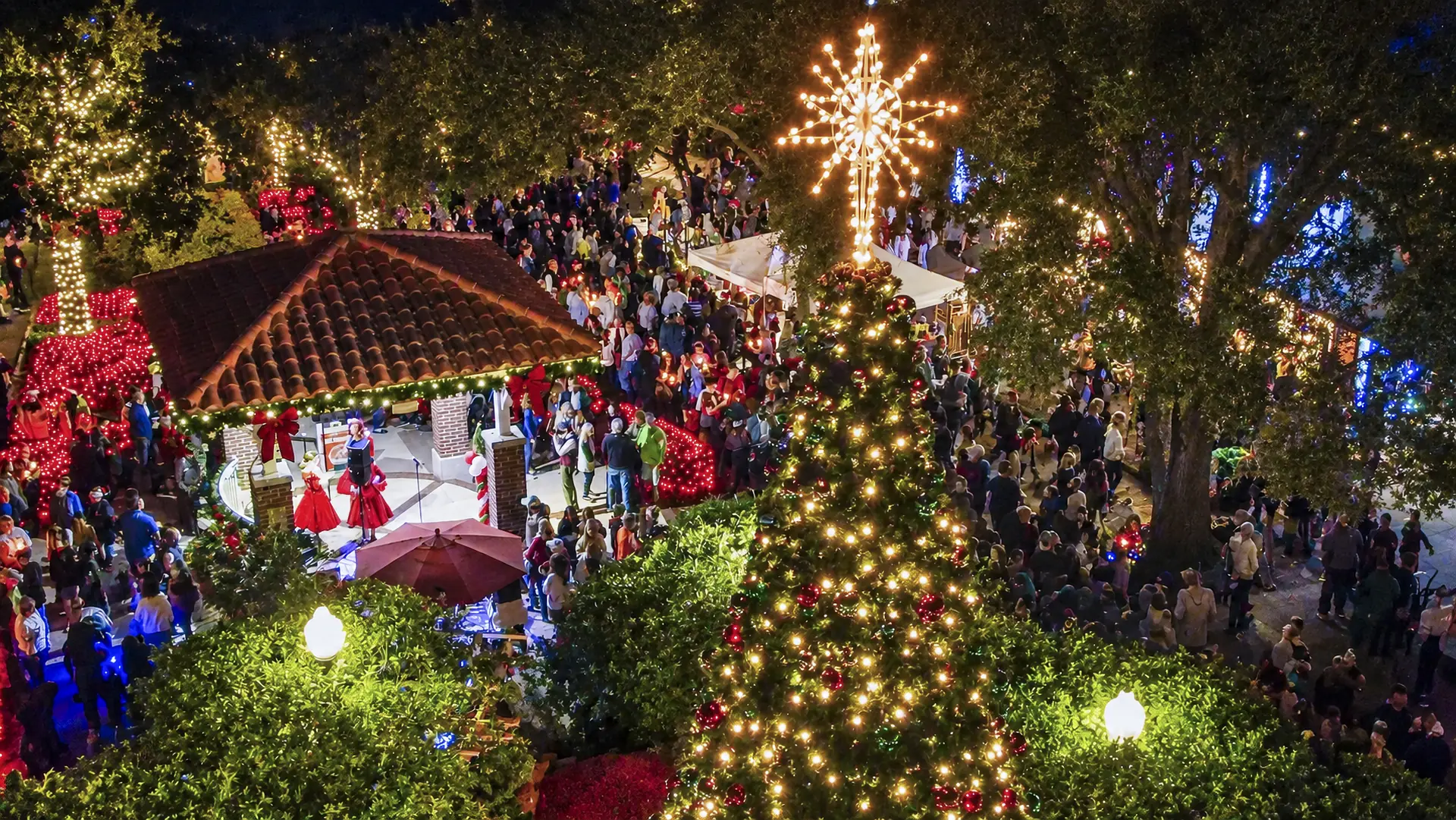 Downtown Winter Garden Christmas tree and crowds at night