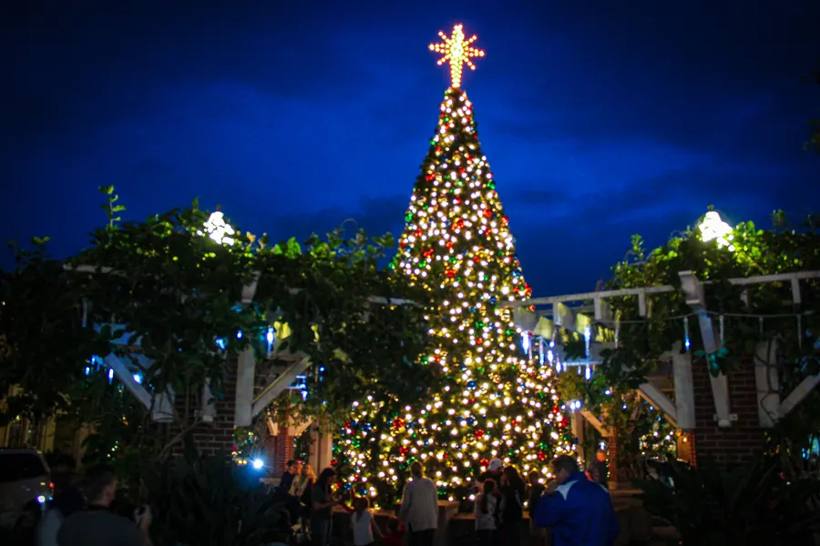Lit Christmas tree in downtown Winter Garden at dusk